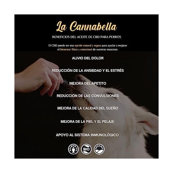 La Cannabella Big Dogs | Huile 10% | 100% biologique | Huile à lextrait naturel, oméga 3 et vitamine E | Base dhuile de sau