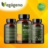 OMEGA 7 ALL IN ONE Huile dargousier avec Oméga 3 6 7 9 et Vitamine E Naturelle. 120 Gélules Végétaliennes. Acide palmitoléiq