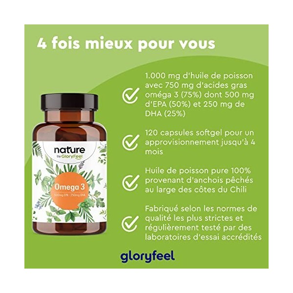 Oméga 3 Huile de Poisson Haute Concentration 1000mg, 120 Capsules 4 Mois , 500mg EPA et 250mg DHA, Fish Oil Concentrée Ultra