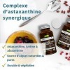 Astaxanthine Vegan, Complexe Antioxydant Naturel, 42mg dAstaPure, algues ultra pures et durables, avec lutéine et zéaxanthin