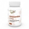 Vita World Astaxanthine 6mg 60 Capsules végétales sans additifs 100% naturel de Haematococcus pluvialis Made in Germany