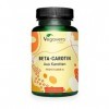 Bêta-Carotène Vegavero® | 100% NATUREL & VEGAN | Sans Additifs | Extrait de Carotte Riche en Vitamine A | Bronzage & Protecti