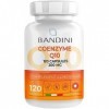 Bandini® Coenzyme Q10 200 mg 120 gélules – Co Q10 Coenzyme Haut Dosage – CoQ10 Ubiquinone à Haute Biodisponibilité – Coenzyme