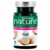 Boutique Nature - Complément Alimentaire - Yam - 90 Gélules Végétales - Favorise léquilibre du cycle de la femme et agit fav