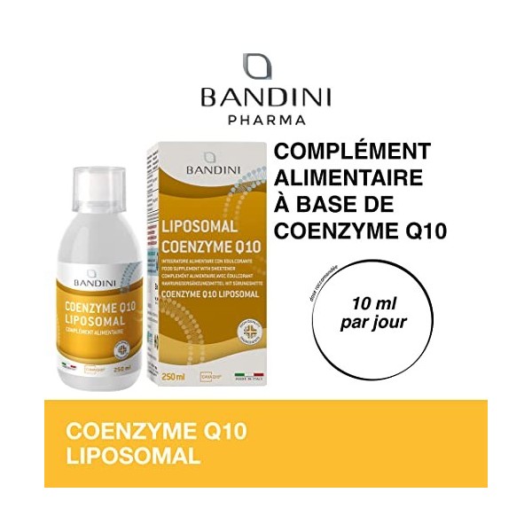 Bandini® Coenzyme liposomale Q10 - Bandini Pharma - Haute qualité et biodisponibilité - Supplément liposomal liquide à haute 