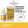 Bandini® Coenzyme liposomale Q10 - Bandini Pharma - Haute qualité et biodisponibilité - Supplément liposomal liquide à haute 