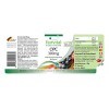 Fairvital | OPC 300mg VEGAN - Fortement dosé - 90 capsules - oligo-proanthocyanidines