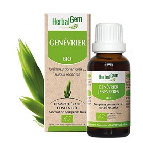 HerbalGem Genévrier Bio Macérat-Mère de Gemmothérapie Concentrée 30 ml Curcuma