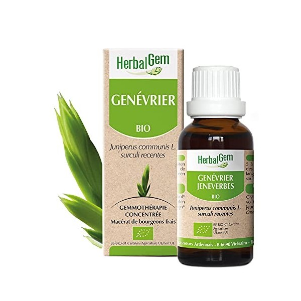 HerbalGem Genévrier Bio Macérat-Mère de Gemmothérapie Concentrée 30 ml Curcuma