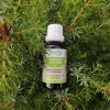 HerbalGem Genévrier Bio Macérat-Mère de Gemmothérapie Concentrée 30 ml