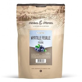 Myrtille feuille - 500 gr de poudre Curcuma
