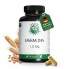 SPERMIDINE 1,4mg dun Extrait de germe de blé 240 gélules de 660mg - Production allemande - 100% végétalien et sans additif Cu...