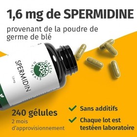 SPERMIDINE 1,4mg dun Extrait de germe de blé 240 gélules de 660mg - Production allemande - 100% végétalien et sans additif Cu...