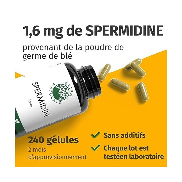 SPERMIDINE 1,4mg dun Extrait de germe de blé 240 gélules de 660mg - Production allemande - 100% végétalien et sans additif Cu...