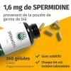 SPERMIDINE 1,4mg dun Extrait de germe de blé 240 gélules de 660mg - Production allemande - 100% végétalien et sans additif