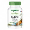 Fairvital | Rutine 500mg - Extrait de Sophora japonica contient 95% rutine 90 gélules VEGAN