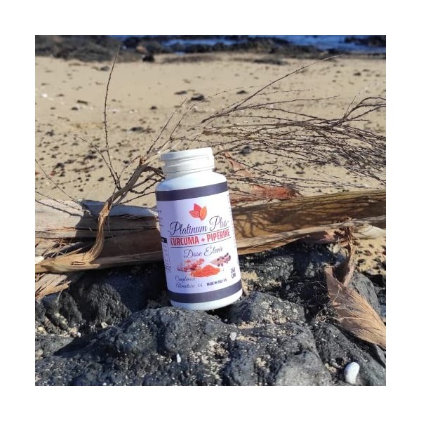 CURCUMIN, PIPERINE et TURMERIC - 240 comprimés. VEGAN, NATUREL, DIGESTIF Avec Poivre Noir piperine et Curcumine Curcuma