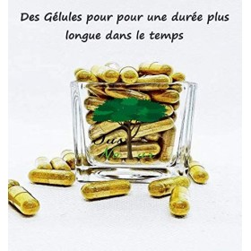 JustNatur-CURCUMA-Poivre Noir et Gingembre-Antioxydant-Ingrédients Naturels-Qualité Supérieure-120 Gélules Naturelles-à base