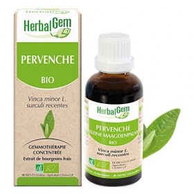 HERBALGEM - Macérât-Mère - Pervenche Bio - Complément Alimentaire Gemmothérapie Concentrée - Extrait De Bourgeon Frais - Pour...