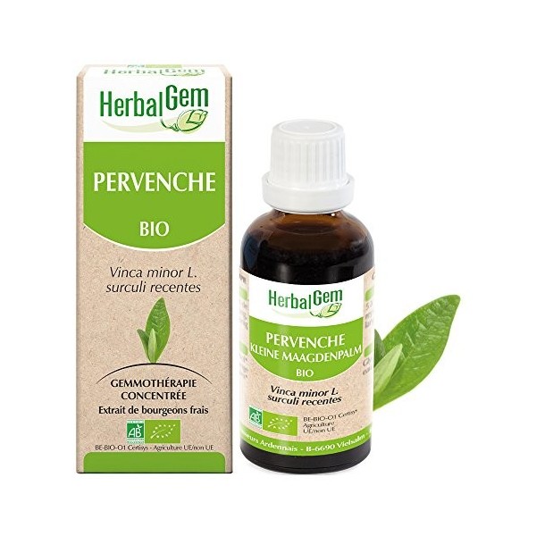 HERBALGEM - Macérât-Mère - Pervenche Bio - Complément Alimentaire Gemmothérapie Concentrée - Extrait De Bourgeon Frais - Pour