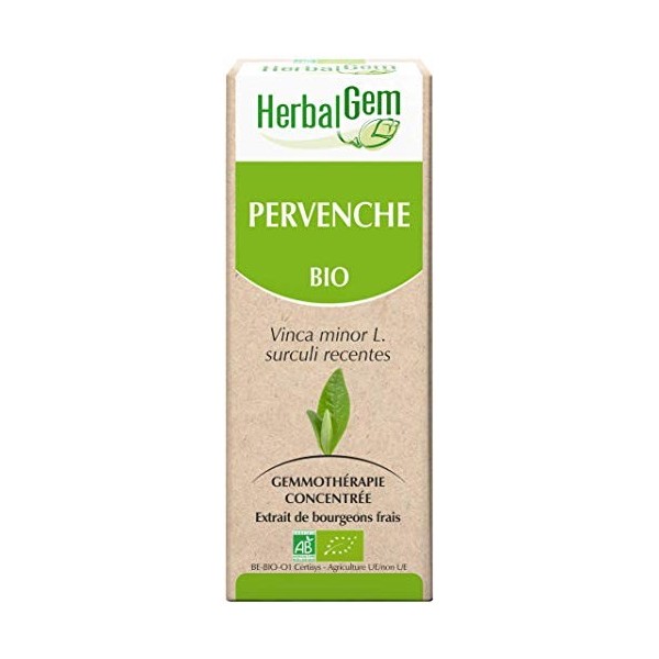 HERBALGEM - Macérât-Mère - Pervenche Bio - Complément Alimentaire Gemmothérapie Concentrée - Extrait De Bourgeon Frais - Pour