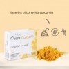 Curcumine Longvida Pack 12 boites de 30 Gélules | Souplesse articulations | Complément Curcuma sans Pipérine ni Poivre Noir |