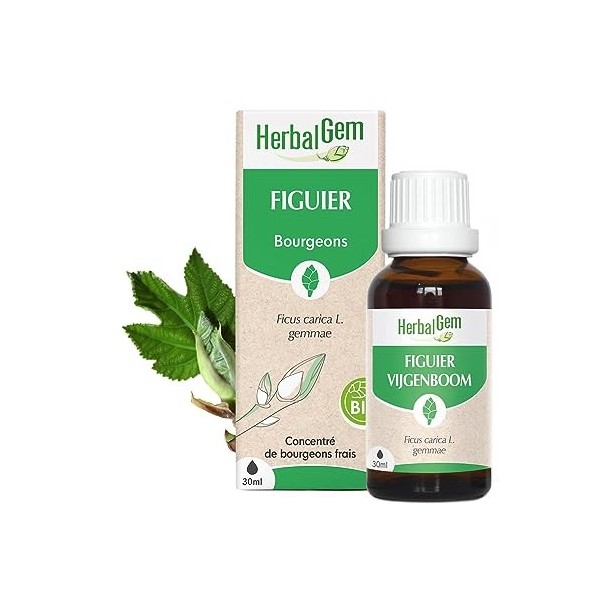 HERBALGEM - Macérât-Mère - Figuier Bio - Complément Alimentaire Gemmothérapie Concentrée - Extrait De Bourgeon Frais - Pour D