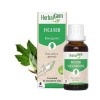 HERBALGEM - Macérât-Mère - Figuier Bio - Complément Alimentaire Gemmothérapie Concentrée - Extrait De Bourgeon Frais - Pour D