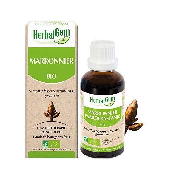 HERBALGEM - Macérât-Mère - Marronnier Bio - Complément Alimentaire Gemmothérapie Concentrée - Extrait De Bourgeon Frais - Pou