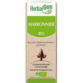 HERBALGEM - Macérât-Mère - Marronnier Bio - Complément Alimentaire Gemmothérapie Concentrée - Extrait De Bourgeon Frais - Pou