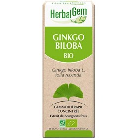Pranarôm HERBALGEM - Macérât-Mère - Ginkgo Biloba Bio - Complément Alimentaire Gemmothérapie Concentrée - Extrait De Bourgeon