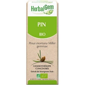 HERBALGEM - Macérât-Mère - Pin des Montagnes Bio - Complément Alimentaire Gemmothérapie Concentrée - Extrait De Bourgeon Frai