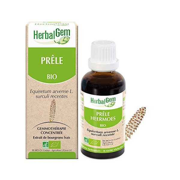 Pranarôm HERBALGEM - Macérât-Mère - Prêle Bio - Complément Alimentaire Gemmothérapie Concentrée - Extrait De Bourgeon Frais -