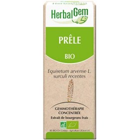 Pranarôm HERBALGEM - Macérât-Mère - Prêle Bio - Complément Alimentaire Gemmothérapie Concentrée - Extrait De Bourgeon Frais -
