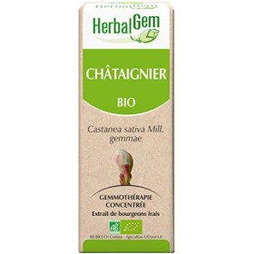 Pranarôm HERBALGEM - Macérât-Mère - Châtaignier Bio - Complément Alimentaire Gemmothérapie Concentrée - Extrait De Bourgeon F