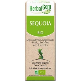 HERBALGEM - Macérât-Mère - Séquoia Bio - Complément Alimentaire Gemmothérapie Concentrée - Extrait De Bourgeon Frais - Vegan 