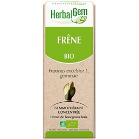 HERBALGEM - Macérât-Mère - Frêne Bio - Complément Alimentaire Gemmothérapie Concentrée - Extrait De Bourgeon Frais - Pour Art