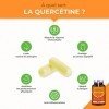 QUERCETINE 600 mg - Vegan & Sans Excipient - Avec Bromélaïne & Vitamine C Végétales - Puissant Antioxydant, Renforce lImmuni