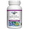 Natural Factors, Super Strength Blueberry Concentrate Extrait de Myrtille , 500mg, Hautement Dosé, 90 Capsules molles, Testé