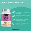 OPC 95% Extrait de Pépins de Raisin Resvératrol + Vitamine C, 1.000mg dOPC pur issu de Raisins Français - 180 Capsules Végét