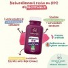 Antioxydant BIO | 90% OPC | 210 gélules | Extrait de Pépins de Raisin Bio | Premium & Vegan | Garanti sans pesticides | Compl