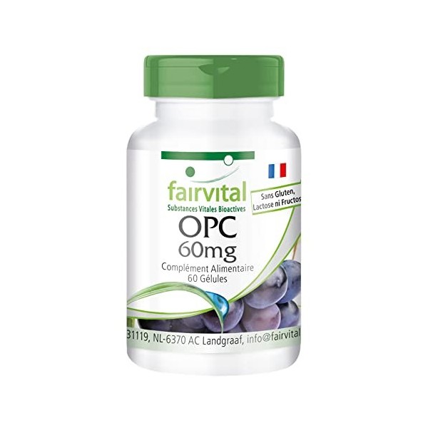 Fairvital | OPC 60 mg - pour 2 mois - VEGAN - 60 gélules - Extrait de pépins de raisin - proanthocyanidines oligomériques