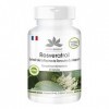 Resvératrol 500mg - extrait de la racine renouée du Japon - polygonum cuspidatum - Extrait - 60 capsules | HERBADIREKT by War