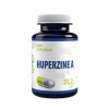 Huperzine A 120 Vegan Gélules 250 mcg Brain Supplement to Promote Acetylcholine, Support Memory and Focus