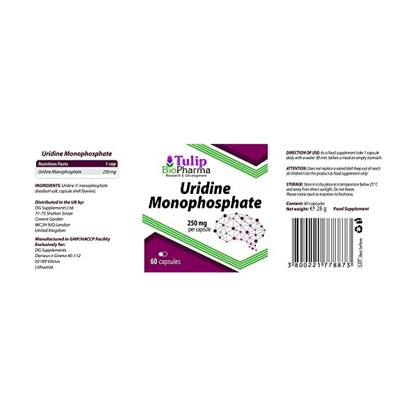 Uridine Monophosphate 250mg 60 Gélules Nootropic Choline Enhancer, Supports Cholinergic Brain & Memory Function