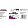 Uridine Monophosphate 250mg 60 Gélules Nootropic Choline Enhancer, Supports Cholinergic Brain & Memory Function