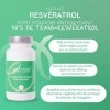 RESVÉRATROL - Complément alimentaire - 300 mg de trans-resvératrol pour 2 gélules - 90 gélules