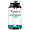 LACTOBACILLUS GASSERI 200 Milliards d’UFC/g | Probiotiques Ventre Plat | 10 Milliards d’UFC par Gélule | Flore Intestinale & 