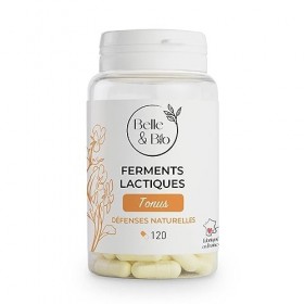 DIGESTION & FLORE INTESTINAL - Ferments Lactiques Probiotiques - 120 gélules - Cure 1 mois - Complément Alimentaire BELLE&BIO