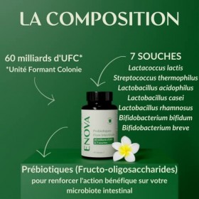 Probiotique Flore intestinale | Ferments Lactiques 60 milliards UFC | 7 Souches de Bactéries avec Lactobacillus & Bifidobacte